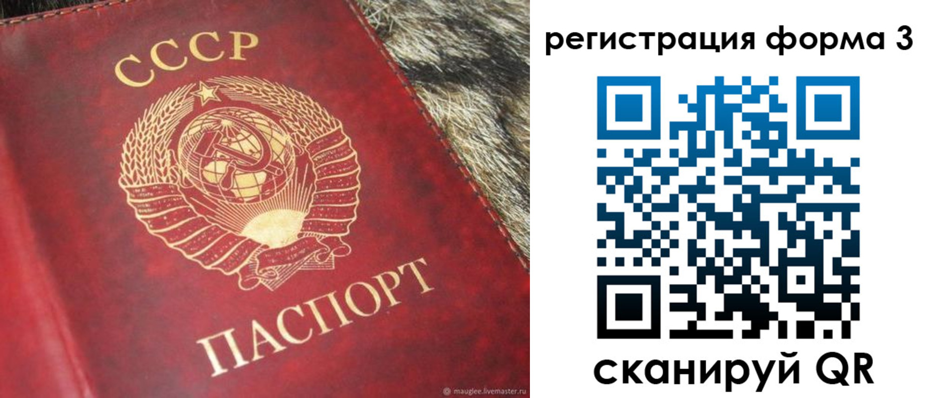 прописка регистрация в Кандалакше